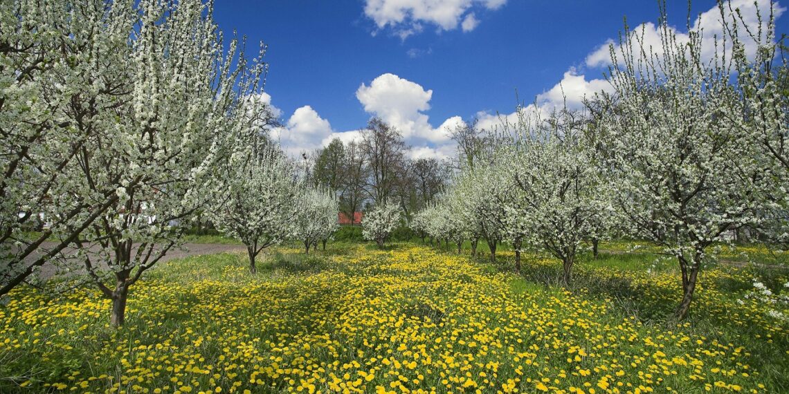 Primavera in Polonia: il messaggio dell’Ente Nazionale per il Turismo