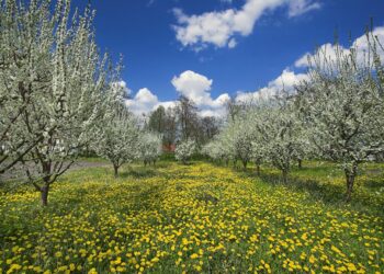 Primavera in Polonia: il messaggio dell’Ente Nazionale per il Turismo