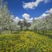 Primavera in Polonia: il messaggio dell’Ente Nazionale per il Turismo