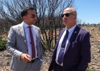 Antincendio, Assessore Lampis con Ambasciatore di Israele nel Montiferru