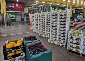 Ambasciatore della Costa d’Avorio in visita al MAAP di Padova