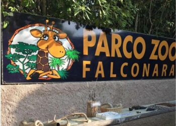 Ambasciatore del Congo venerdì in visita allo zoo di Falconara