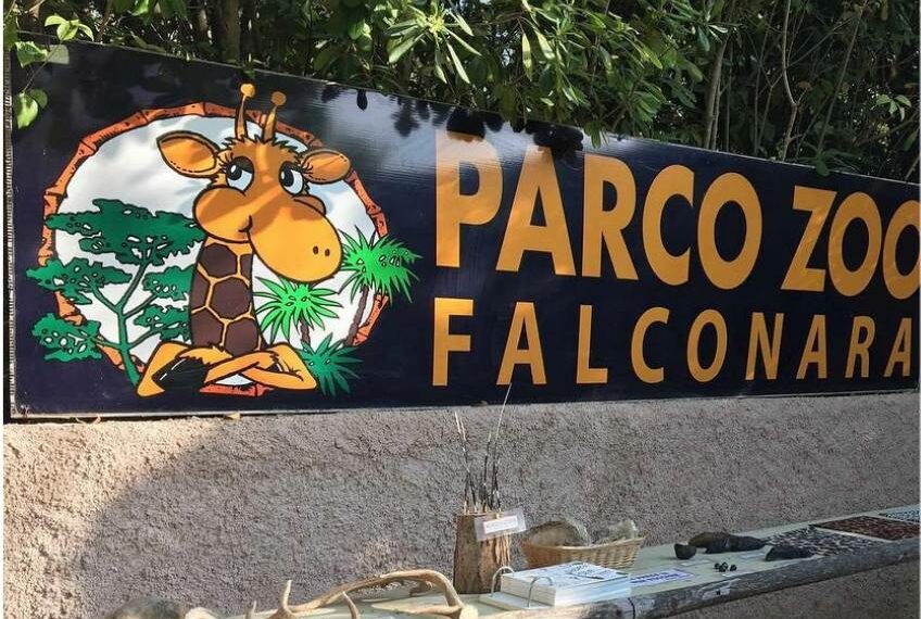 Ambasciatore del Congo venerdì in visita allo zoo di Falconara
