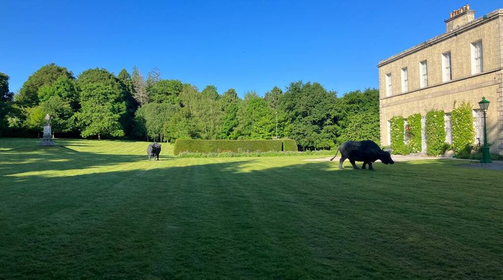 Dublino, Mostra di Davide Rivalta nella Residenza dell’Ambasciatore