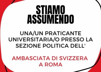 L’Ambasciata Svizzera in Italia cerca un praticante universitario