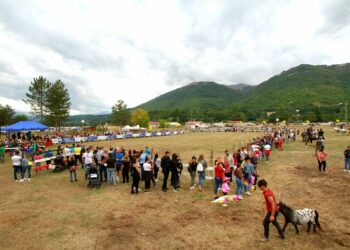 Festa Cavalli a Cittareale dal 25 al 27 agosto