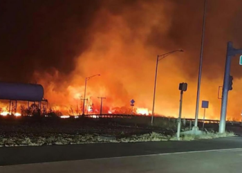 Incendi Hawaii, il Console Carbone a Sky TG24: “Aiuteremo i turisti a tornare in Italia”