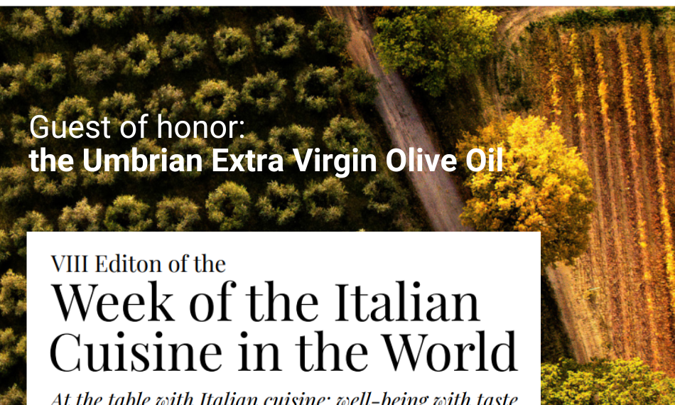 Settimana della Cucina Italiana nel Mondo: Oslo celebra l’olio extra vergine d’oliva umbro