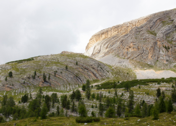 Biennale Gherdëina 9, “The Parliament of Marmots”