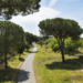 La Via Appia – Regina Viarum è entrata nella lista dei siti Patrimonio Mondiale dell’Unesco