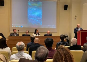 Sfide climatiche, al Senato della Repubblica Convegno su Cop29