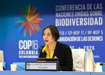 La Colombia protagonista alla FAO per la chiusura della COP16