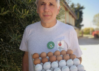 Emergenza uova, l’appello dell’Ambasciata Usa al Veneto: “Aiutateci per Pasqua”