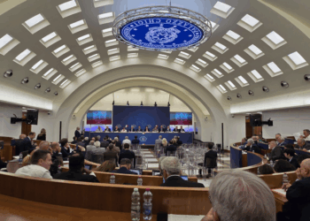 Il CGIE approva le proposte di modifica alla Legge sulla Cittadinanza