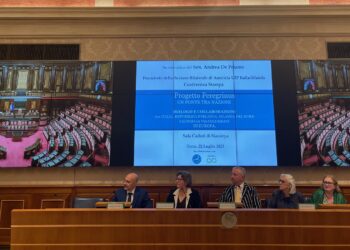 Progetto Peregrinus: italiani e irlandesi a confronto al Senato nel segno di San Colombano