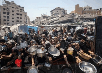 “Riconoscere la Palestina ora!”, gli Ambasciatori firmatari dell’appello alla Presidente Meloni diventano 61