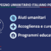 Food for Gaza. L’impegno umanitario dell’Italia: aiuti umanitari, accoglienza e cure mediche e programmi educativi