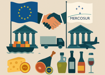 Accordo UE-MERCOSUR: ecco le principali novità introdotte