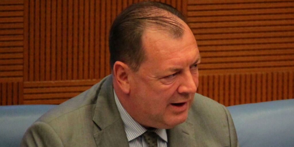 Accordi internazionali di libero scambio e tutela delle vulnerabilità: il caso Ue‑Mercosur