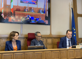 Demografia: la mozione del Seminario del “Comitato 11 ottobre” rilancia il ruolo di expat, italo‑discendenti e italici