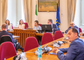 L’Ambasciatrice McCullough illustra alla Camera le priorità della presidenza irlandese del Consiglio UE