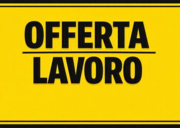 L’Ambasciata d’Italia a Bratislava assume un autista