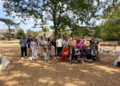 Ferragosto Picnic 2026: sold out per la quarta edizione del Circolo MIE di Londra a Walpole Park