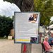 Trasacco, l’intervista a Gazzetta Diplomatica di Colasuonno Taricone esposta sugli alberi del Paese