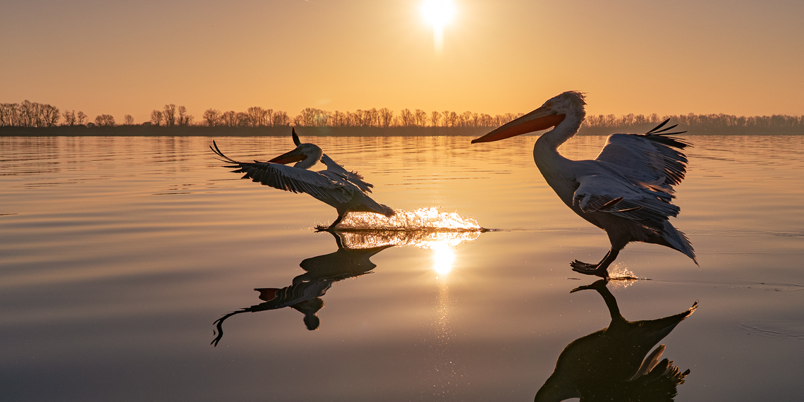 La fotografia diffusa torna protagonista sul lago di Bracciano
