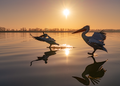La fotografia diffusa torna protagonista sul lago di Bracciano