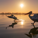 La fotografia diffusa torna protagonista sul lago di Bracciano